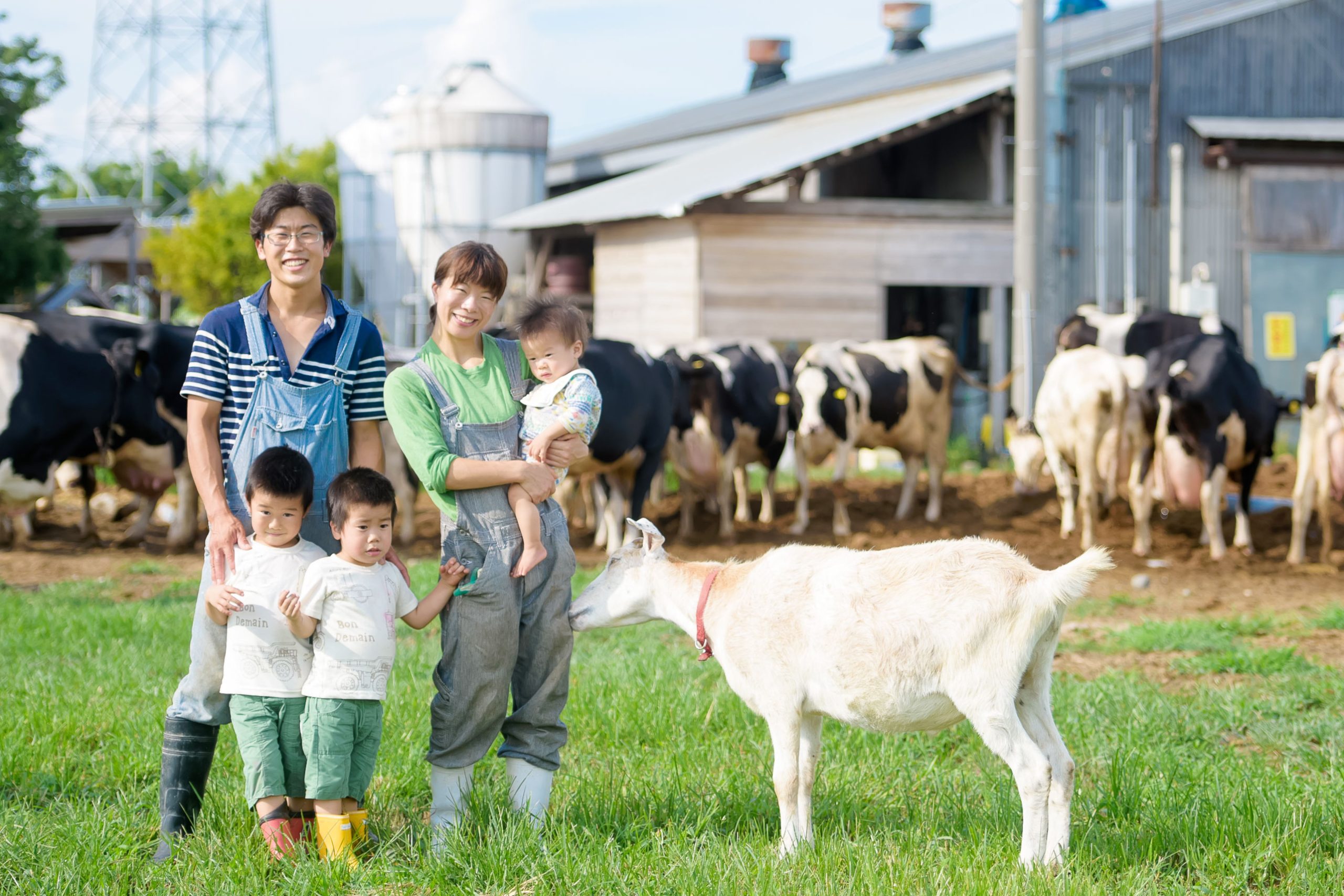 牛やヤギと一緒に！のびのび子育て | くらしたい国、富山